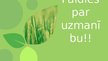 Prezentācija 'Izdomātā partija "Par zaļāku Latviju"', 19.