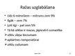 Prezentācija 'Sinepes, to audzēšanas tehnoloģija un izmantošana', 16.