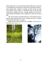 Referāts 'Baldones meža biotopi - pirmatnējās dabas daudzveidība un nozīme', 26.