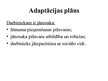 Prezentācija 'Adaptācijas plāns', 6.