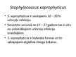 Prezentācija 'Staphylococcus saprophyticus baktērijas', 4.