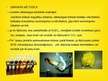 Prezentācija 'Analītiskā ķīmija', 8.lpp.