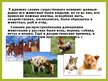 Prezentācija 'Животные в крестьянском хозяйстве, символика образов, обряды', 2.