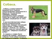Prezentācija 'Животные в крестьянском хозяйстве, символика образов, обряды', 7.