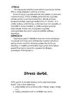 Referāts 'Kas ir stress, un kā tas ietekmē mūsu veselību', 14.