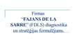 Prezentācija 'Uzņēmuma "Fajans de la sarre" diagnostika un stratēģijas formulējums', 1.