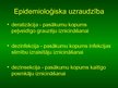 Prezentācija 'Epidēmijas', 13.lpp.