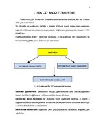Prakses atskaite 'Prakses atskaite', 4.