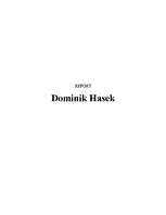 Konspekts 'Dominik Hasek', 1.