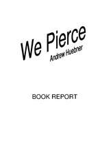 Konspekts 'Report about Book "We Pierce"', 1.
