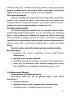 Diplomdarbs 'Grāmatvedības dokumentu klasifikācija un organizācija uzņēmumā SIA ”X”', 31.