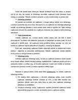 Diplomdarbs 'Mēbeļu ražošanas un tirdzniecības uzņēmuma mārketinga vides raksturojums un iete', 58.