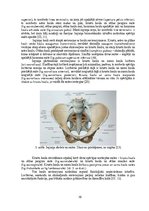 Diplomdarbs 'Astes kaula asimetrijas ietekme uz iegurņa  funkcionālo stāvokli', 10.