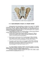 Diplomdarbs 'Astes kaula asimetrijas ietekme uz iegurņa  funkcionālo stāvokli', 11.