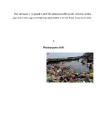 Konspekts 'Vides piesārņojums un bioloģiskās daudzveidības izmaiņas', 6.