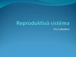 Prezentācija 'Reproduktīvā sistēma', 1.