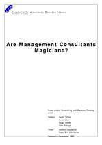 Referāts 'Are Management Consultants Magicians?', 1.