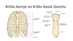 Prezentācija 'Iegurņa kaula lūzumi, iegurņa stabilizācijas tehnikas. Krūšu kurvja, krūšu kaula', 36.