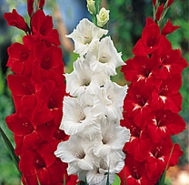 Sveicam jaunajā studiju gadā!