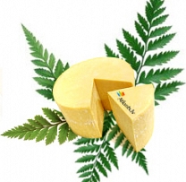 Lustīgu līgošanu!