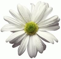 Jauns dizains – Jūsu ērtībai