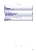 Biznesa plāns 'Разработка бизнес-плана "Автостоянка"', 2.