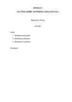 Konspekts 'Cilvēkdarbību sistemātiskā organizācija', 1.