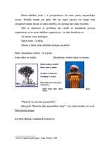 Konspekts 'Cilvēkdarbību sistemātiskā organizācija', 3.