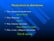 Prezentācija 'Lietišķā kinezioloģija - integratīvās medicīnas nozare', 24.