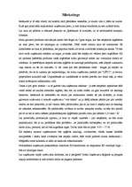 Biznesa plāns 'SIA "Adatiņa"', 6.