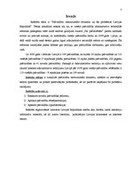 Referāts 'Pašvaldību institucionālā struktūra un tās problēmas Latvijas Republikā', 3.