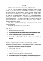 Referāts 'Google - viens no populārākajiem interneta meklētājiem pasaulē', 3.