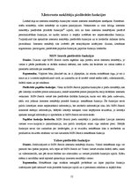 Referāts 'Google - viens no populārākajiem interneta meklētājiem pasaulē', 12.