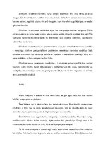 Konspekts 'Testa "Māja - koks - cilvēks" analīze', 3.