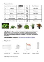 Konspekts 'Vertikālā dārza plāns', 2.