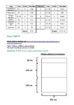 Konspekts 'Vertikālā dārza plāns', 3.