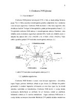 Referāts 'Citohroma P450 (CYP450) ģimene', 5.
