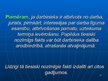 Prezentācija 'Tiesiski nozīmīgo un nenozīmīgo apstākļu nosķiršana', 23.