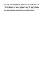 Konspekts 'Simboliskais interakcionisms', 4.