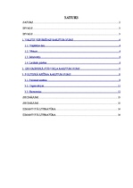 Referāts 'Dānijas ģeopolitika', 2.