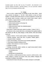 Referāts 'Psiholoģisko ietekmēšanas veidu un līdzekļu efektīva izmantošana pedagoģiskajā s', 5.