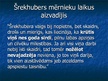 Prezentācija 'Šrekhubers un citi taisnības cīnītāji', 10.