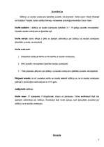 Referāts 'Inflācija un naudas izlietojuma īpatnības jauniešu vecumposmā', 3.