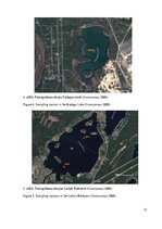 Referāts 'Zooplanktona sugu sastāvs vasaras sezonā Ādažu novada virszemes ūdensobjektos', 15.