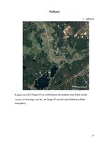 Referāts 'Zooplanktona sugu sastāvs vasaras sezonā Ādažu novada virszemes ūdensobjektos', 27.