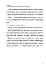 Prakses atskaite 'Atskaite par pedagoģisko un psiholoģisko novērojumu praksi', 5.