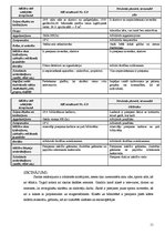 Prakses atskaite 'Atskaite par pedagoģisko un psiholoģisko novērojumu praksi', 11.