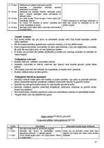 Prakses atskaite 'Atskaite par pedagoģisko un psiholoģisko novērojumu praksi', 38.