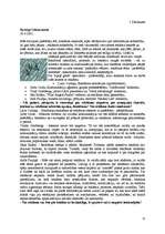 Referāts 'Reklāmas efektivitāte uz patērētāju', 13.