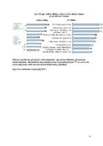 Referāts 'Reklāmas efektivitāte uz patērētāju', 25.